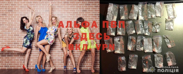сатива Кулебаки