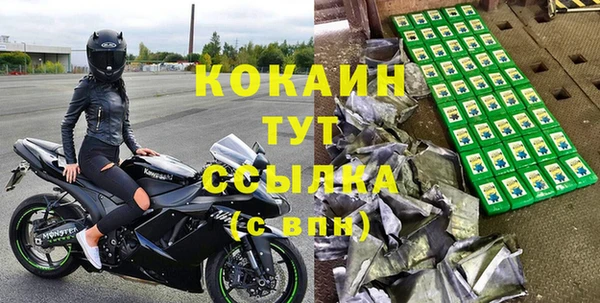 сатива Кулебаки