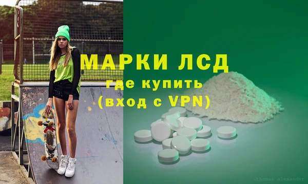 сатива Кулебаки
