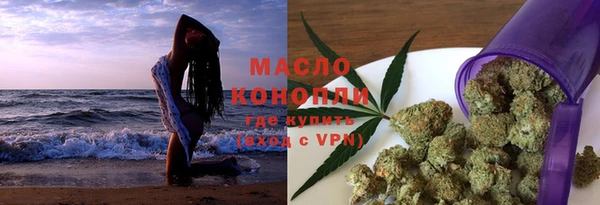 сатива Кулебаки