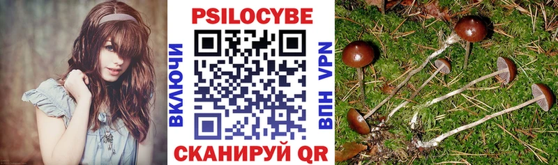 Псилоцибиновые грибы Psilocybine cubensis  Березники 