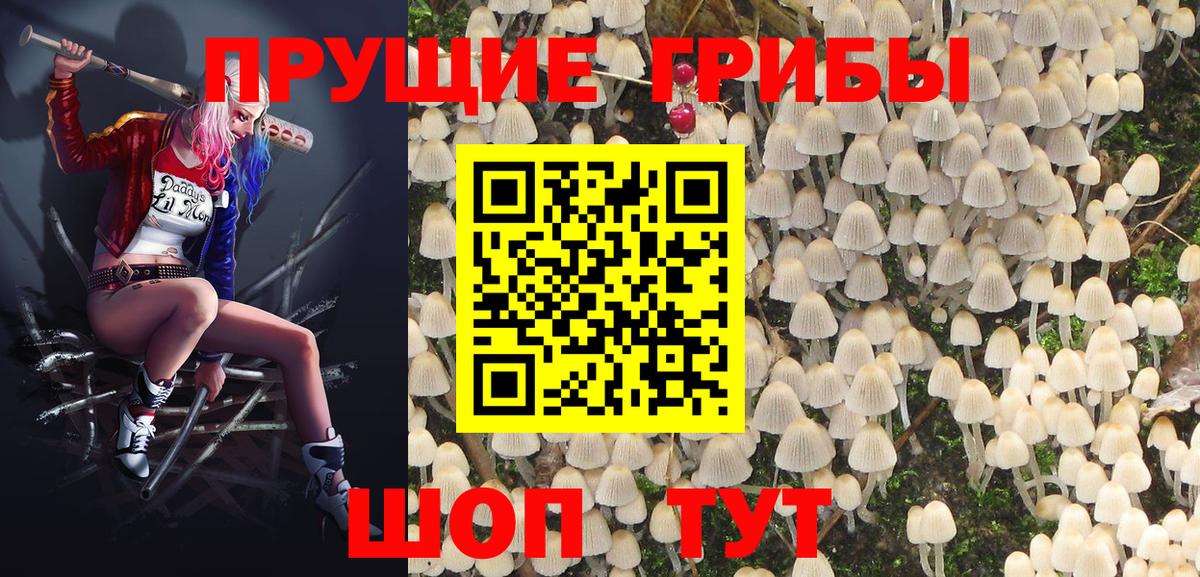 Псилоцибиновые грибы прущие грибы Березники
