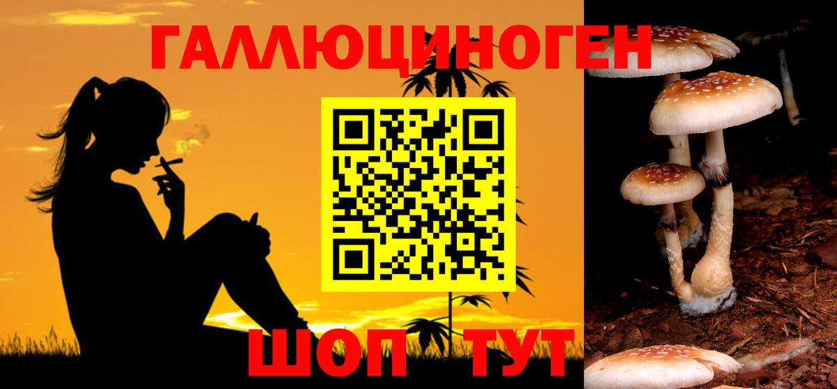 как найти закладки  Галлюциногенные грибы Psilocybine cubensis  Вход с VPN  Березники 